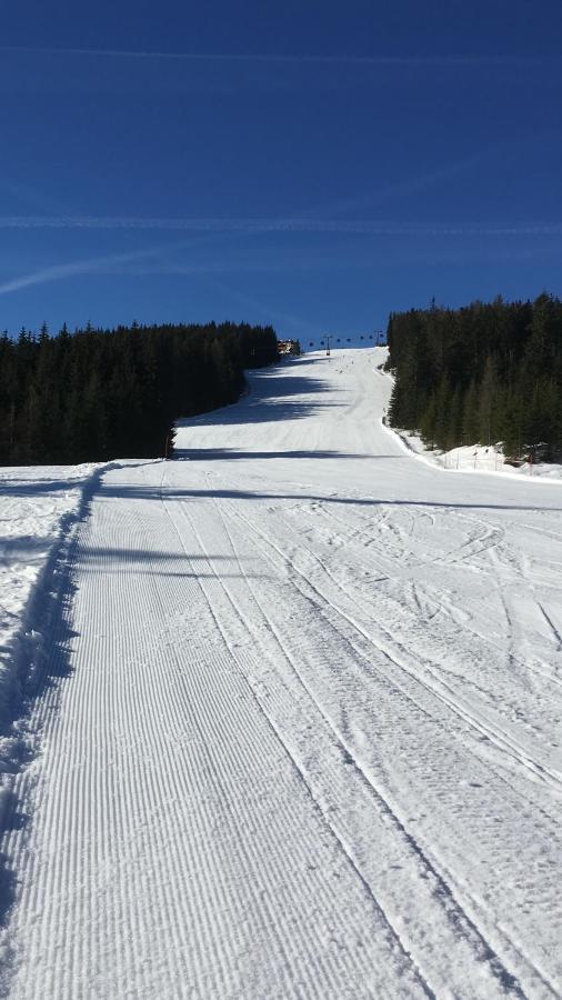 Appartement - Vollholz Studio Im Zentrum Von Flachau Zewnętrze zdjęcie