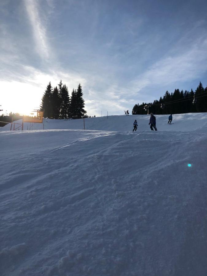 Appartement - Vollholz Studio Im Zentrum Von Flachau Zewnętrze zdjęcie
